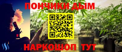 МДПВ Сланцы
