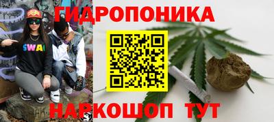 МДПВ Сланцы