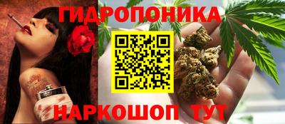 дурь Славгород