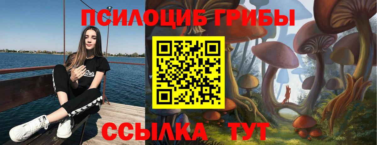 Первоуральск  Псилоцибиновые грибы Psilocybine cubensis  Вход с VPN  Псилоцибиновые грибы прущие грибы 